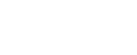 Birdie Logo